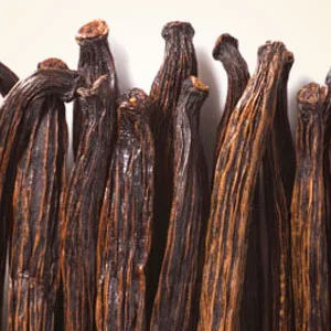 Vanilla Bean 100 ml