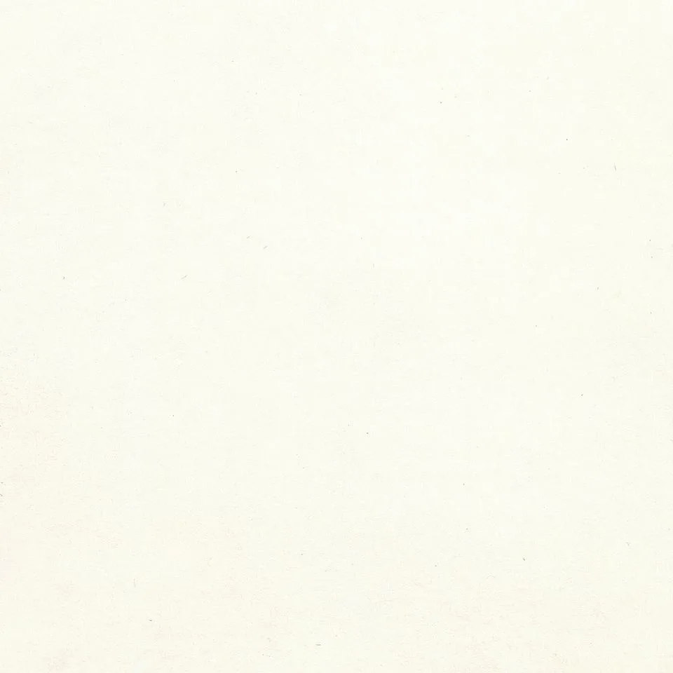Vatnslitir WN Pan Zinc White 2,5 ml