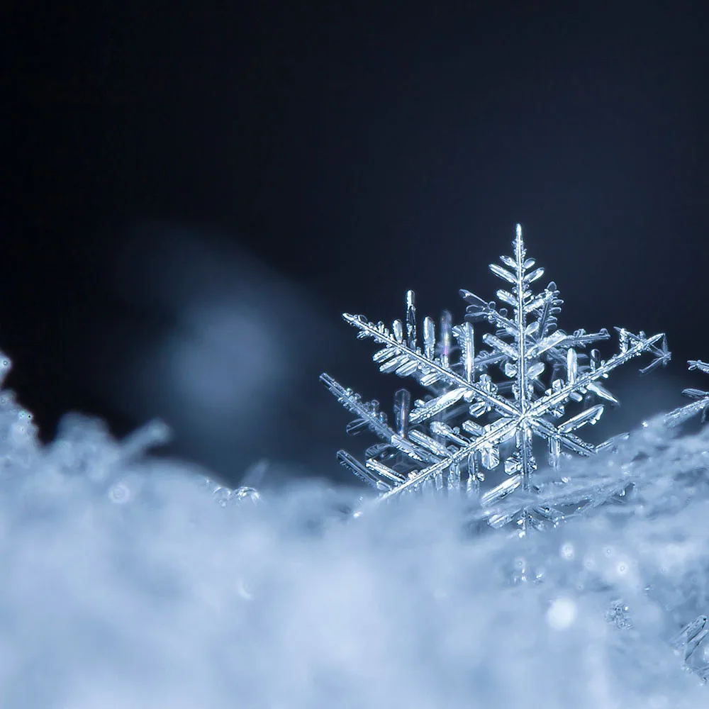 Snowflake - ilmur 1 oz/ 29,5 ml - - 1