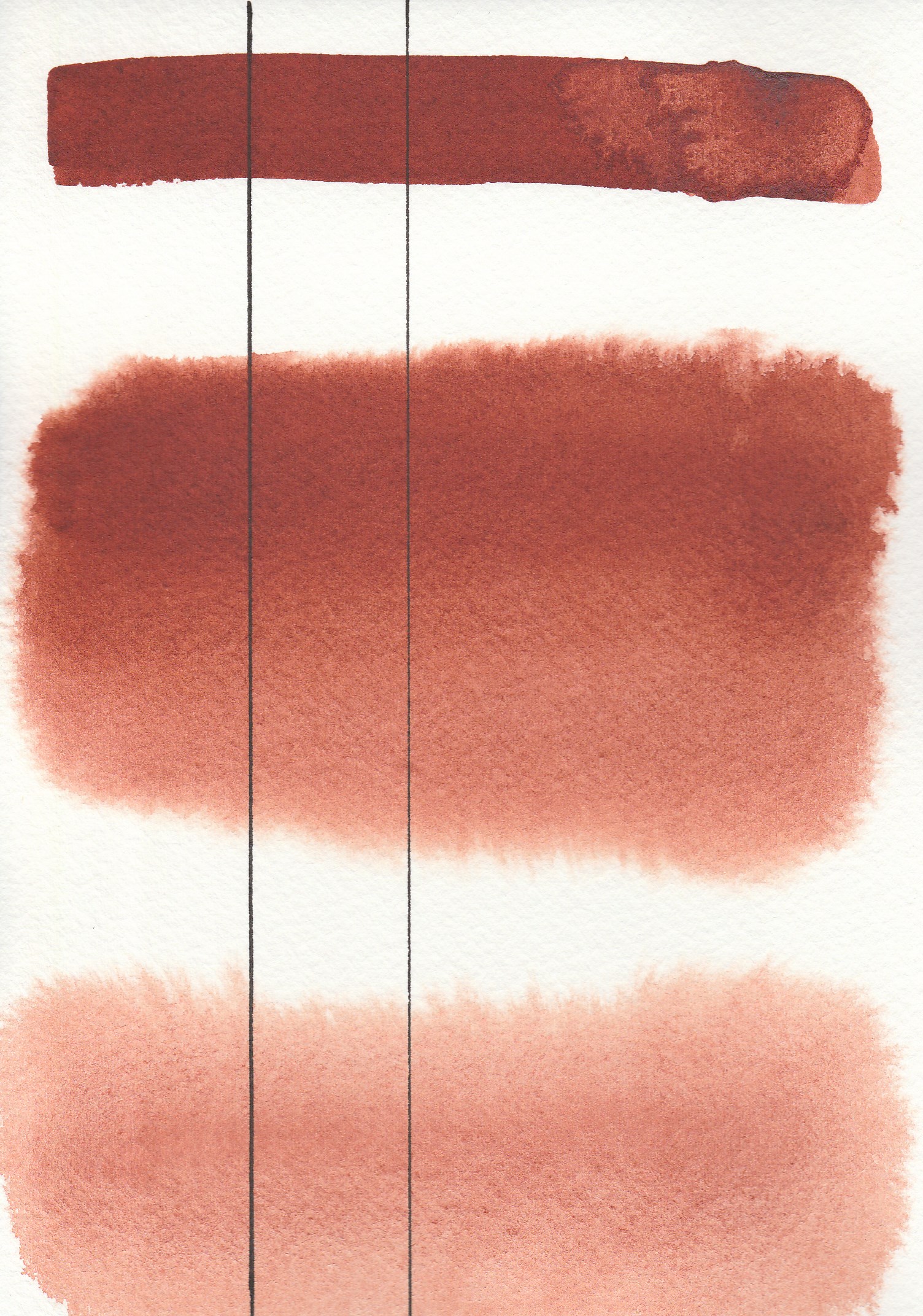 Aquarius Full Pan - Transparent Oxide Red